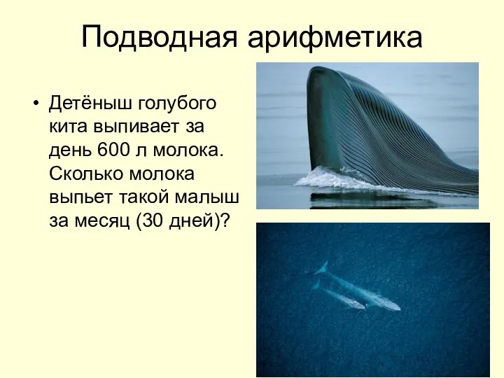 Подводная арифметика Детёныш голубого кита выпивает за день 600 л молока.