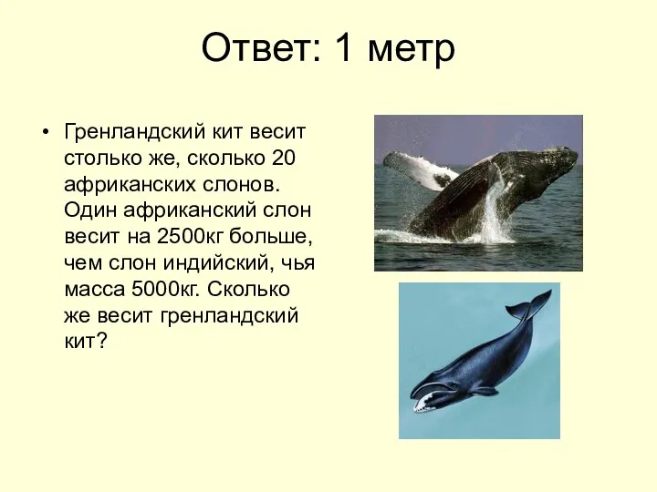 Ответ: 1 метр Гренландский кит весит столько же, сколько 20 африканских