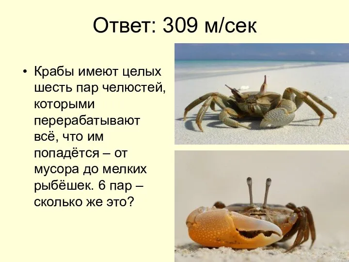 Ответ: 309 м/сек Крабы имеют целых шесть пар челюстей, которыми перерабатывают