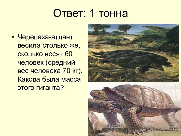 Ответ: 1 тонна Черепаха-атлант весила столько же, сколько весят 60 человек