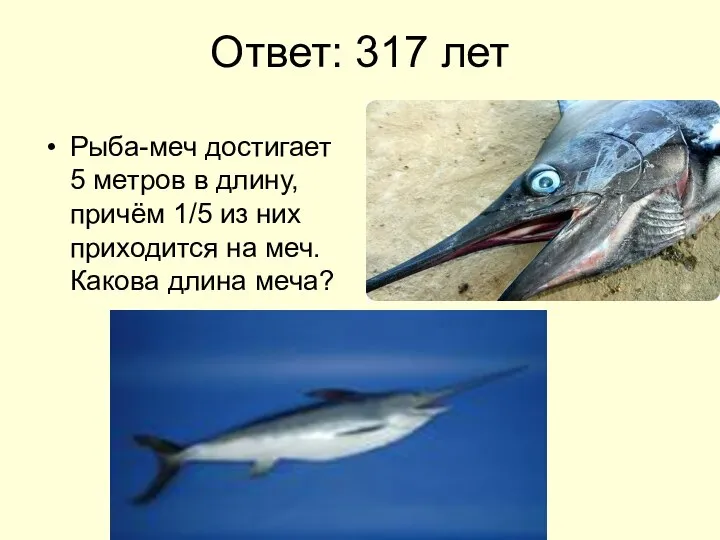 Ответ: 317 лет Рыба-меч достигает 5 метров в длину, причём 1/5