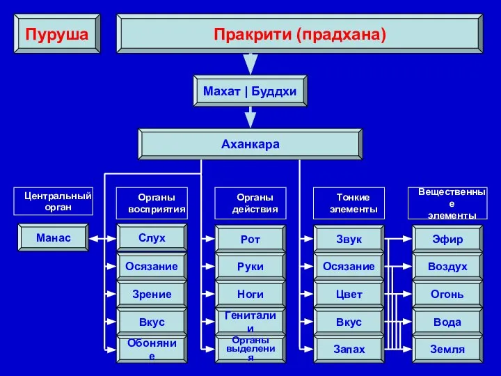 Манас Махат | Буддхи Аханкара Пракрити (прадхана) Пуруша Центральный орган Органы