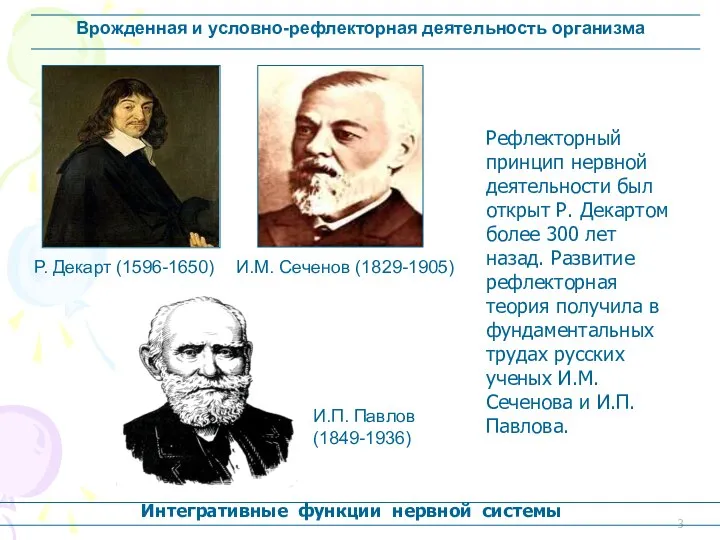 Врожденная и условно-рефлекторная деятельность организма Рефлекторный принцип нервной деятельности был открыт