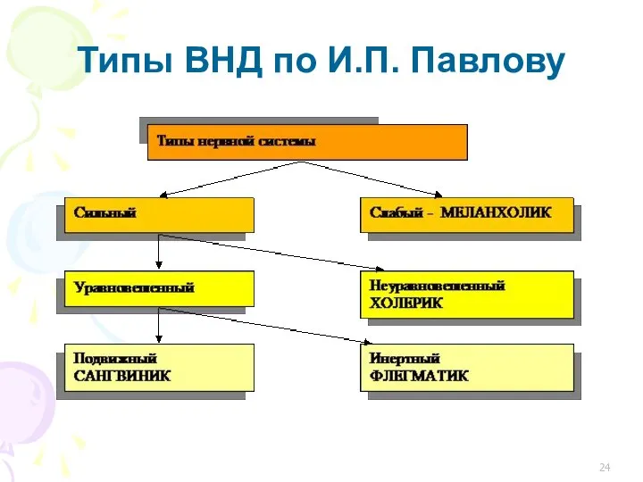 Типы ВНД по И.П. Павлову