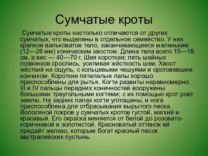 Сумчатые кроты Сумчатые кроты настолько отличаются от других сумчатых, что выделены