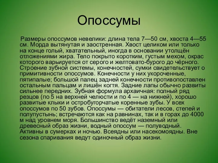 Опоссумы Размеры опоссумов невелики: длина тела 7—50 см, хвоста 4—55 см.