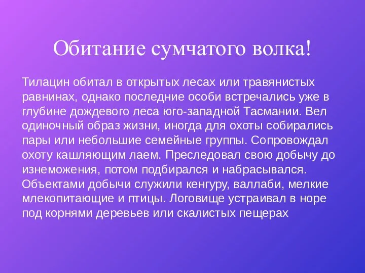 Обитание сумчатого волка! Тилацин обитал в открытых лесах или травянистых равнинах,