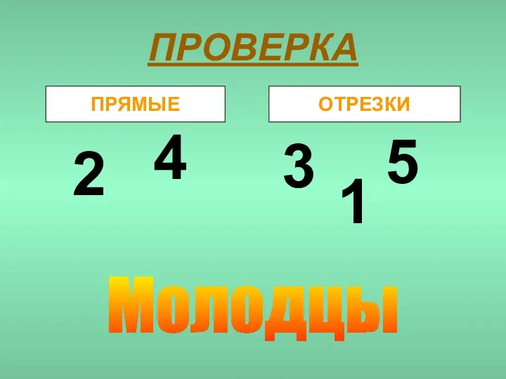 ПРОВЕРКА ПРЯМЫЕ ОТРЕЗКИ 2 4 1 3 5 Молодцы