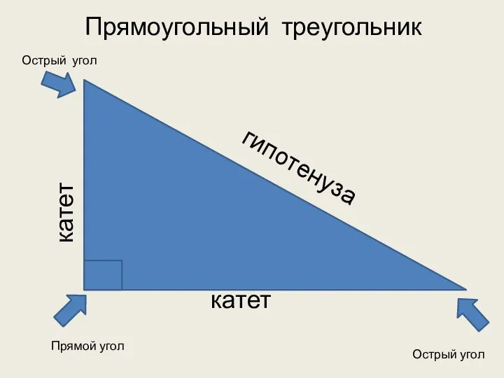 катет катет гипотенуза Прямоугольный треугольник Прямой угол Острый угол Острый угол