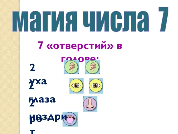 7 «отверстий» в голове: магия числа 7 рот 2 уха 2 глаза 2 ноздри