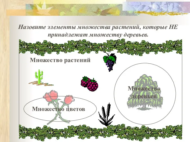 Назовите элементы множества растений, которые НЕ принадлежат множеству деревьев. Множество растений