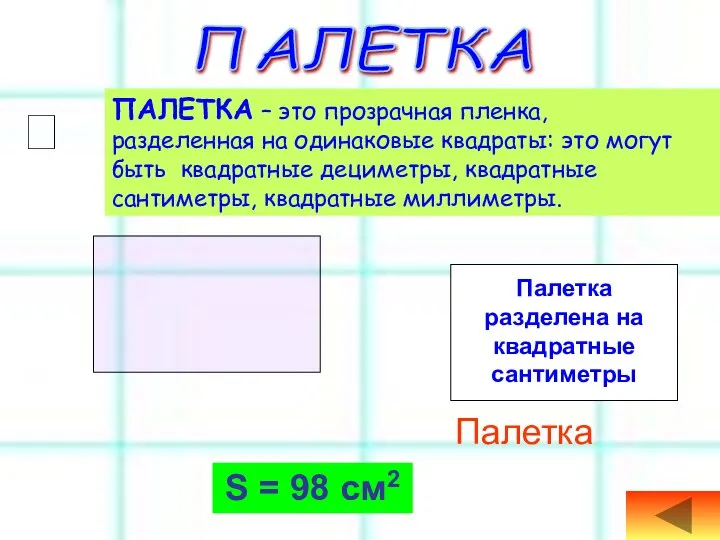 Палетка S = 98 см2 ПАЛЕТКА  ПАЛЕТКА – это прозрачная