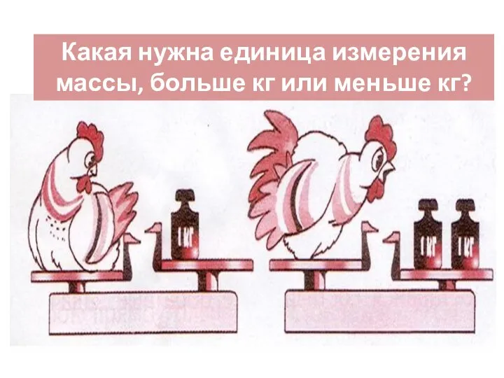 Какова масса курицы? Какая нужна единица измерения массы, больше кг или меньше кг?