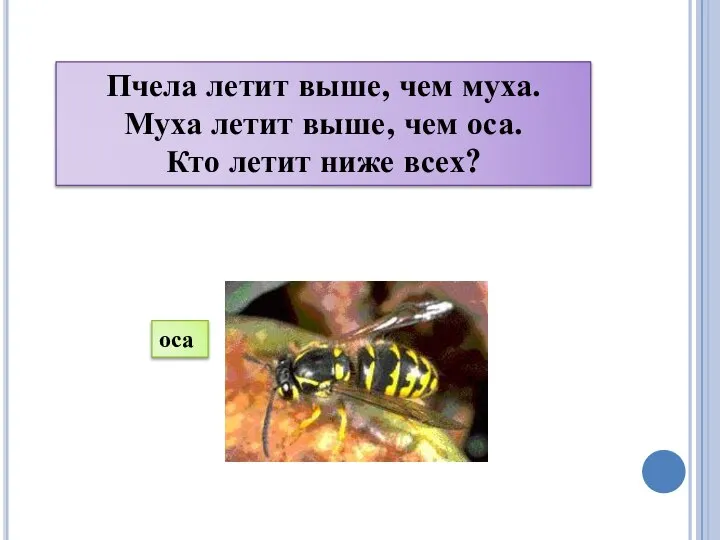 Пчела летит выше, чем муха. Муха летит выше, чем оса. Кто летит ниже всех? оса