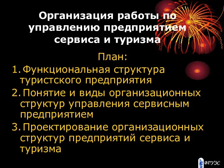 Организация работы по управлению предприятием сервиса и туризма План: 1. Функциональная