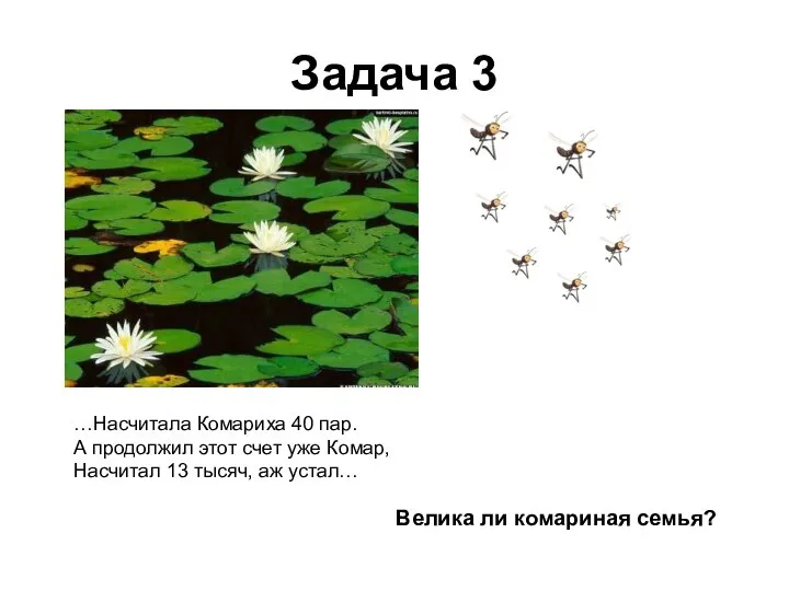 Задача 3 …Насчитала Комариха 40 пар. А продолжил этот счет уже