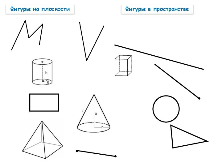 Фигуры на плоскости Фигуры в пространстве