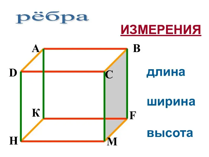 рёбра длина ширина высота ИЗМЕРЕНИЯ