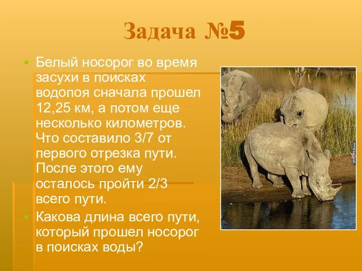 Задача №5 Белый носорог во время засухи в поисках водопоя сначала