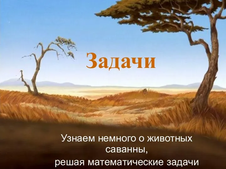 Задачи Узнаем немного о животных саванны, решая математические задачи