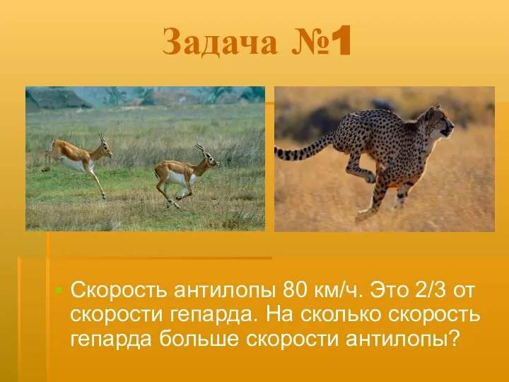 Задача №1 Скорость антилопы 80 км/ч. Это 2/3 от скорости гепарда.