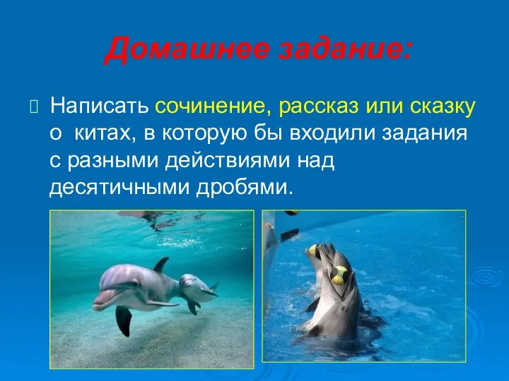 Домашнее задание: Написать сочинение, рассказ или сказку о китах, в которую