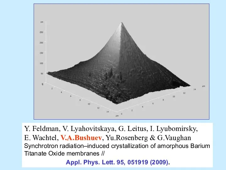 Y. Feldman, V. Lyahovitskaya, G. Leitus, I. Lyubomirsky, E. Wachtel, V.A.Bushuev,