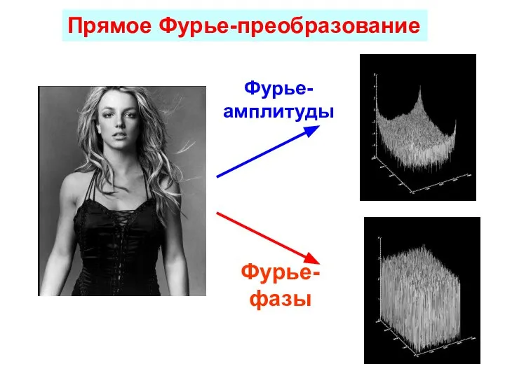 Фурье- амплитуды Фурье- фазы I(x, y) Прямое Фурье-преобразование