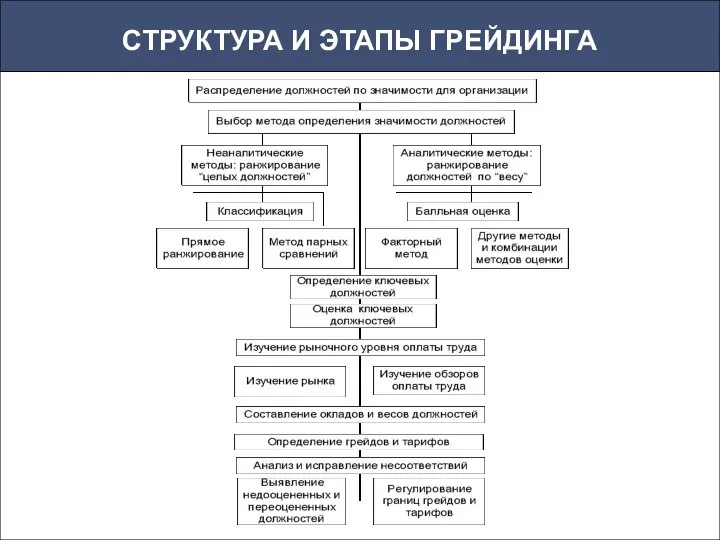 СТРУКТУРА И ЭТАПЫ ГРЕЙДИНГА