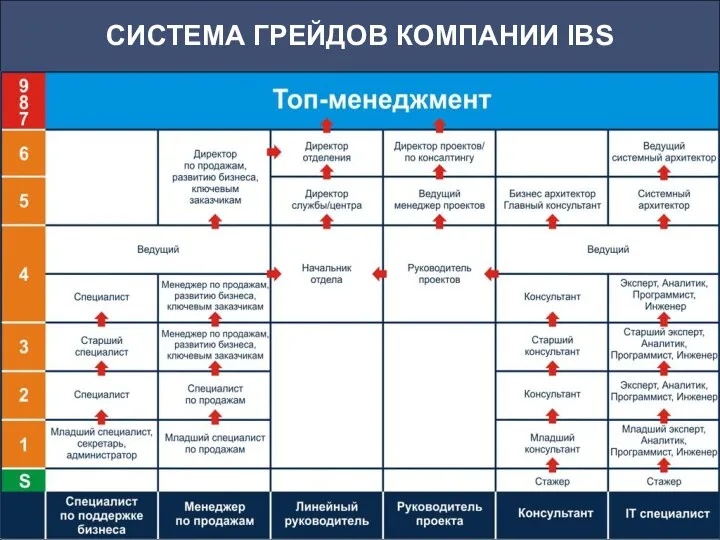 СИСТЕМА ГРЕЙДОВ КОМПАНИИ IBS