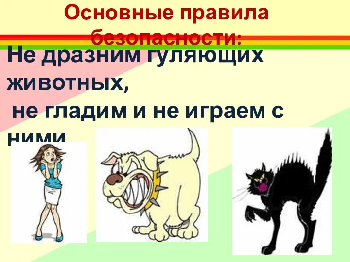 Основные правила безопасности: Не дразним гуляющих животных, не гладим и не играем с ними.