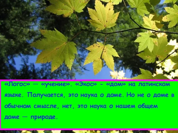 «Логос» — «учение». «Экос» - «дом» на латинском языке. Получается, это