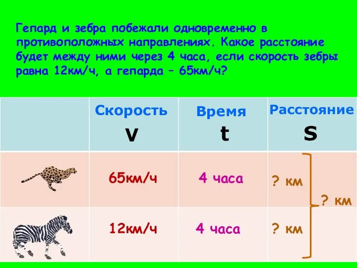 65км/ч 12км/ч 4 часа 4 часа ? км ? км Гепард