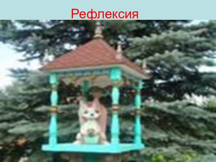 Рефлексия