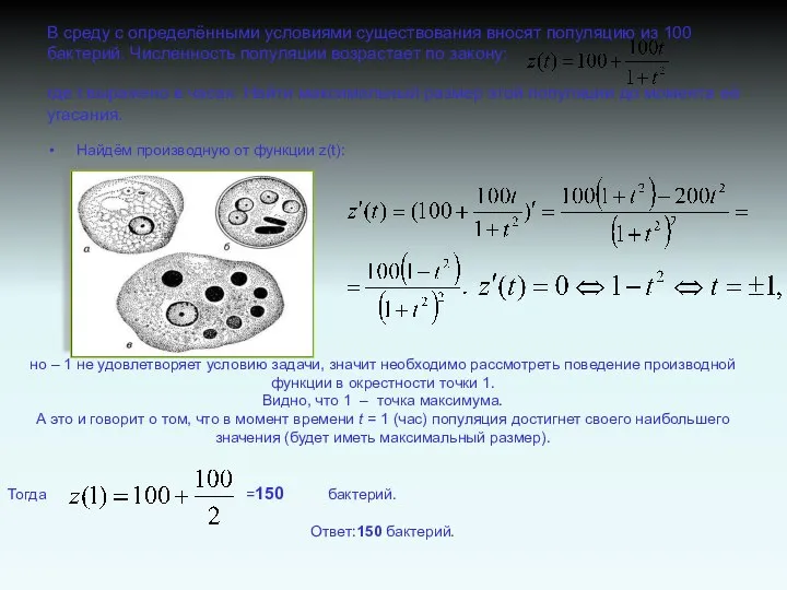 В среду с определёнными условиями существования вносят популяцию из 100 бактерий.