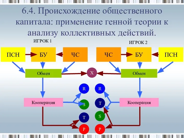 6.4. Происхождение общественного капитала: применение генной теории к анализу коллективных действий.