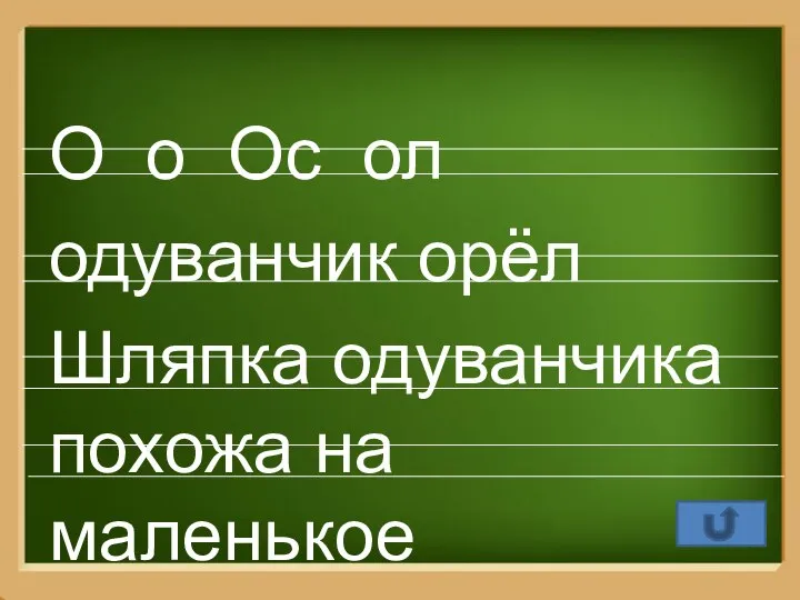 О о Ос ол одуванчик орёл Шляпка одуванчика похожа на маленькое солнышко.