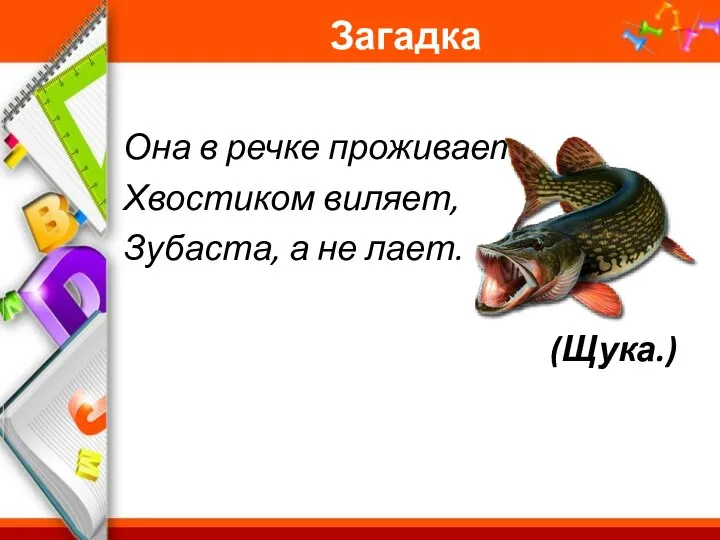 Загадка Она в речке проживает, Хвостиком виляет, Зубаста, а не лает. (Щука.)