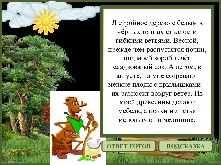 http://linda6035.ucoz.ru/ Я стройное дерево с белым в чёрных пятнах стволом и