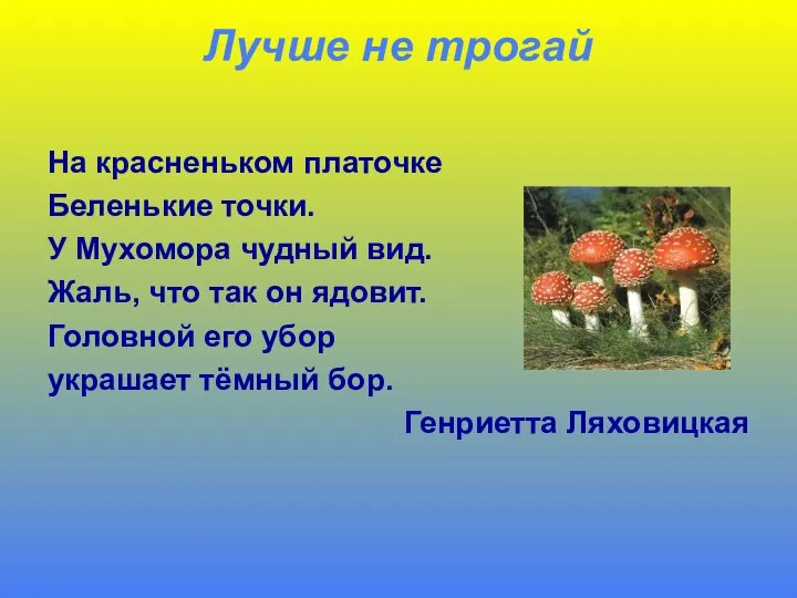 Лучше не трогай На красненьком платочке Беленькие точки. У Мухомора чудный