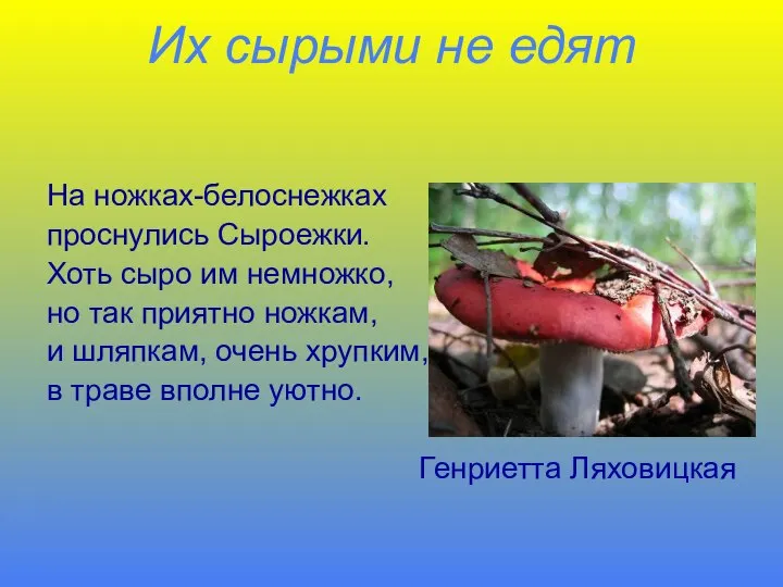 Их сырыми не едят На ножках-белоснежках проснулись Сыроежки. Хоть сыро им