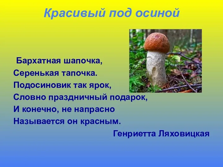 Красивый под осиной Бархатная шапочка, Серенькая тапочка. Подосиновик так ярок, Словно