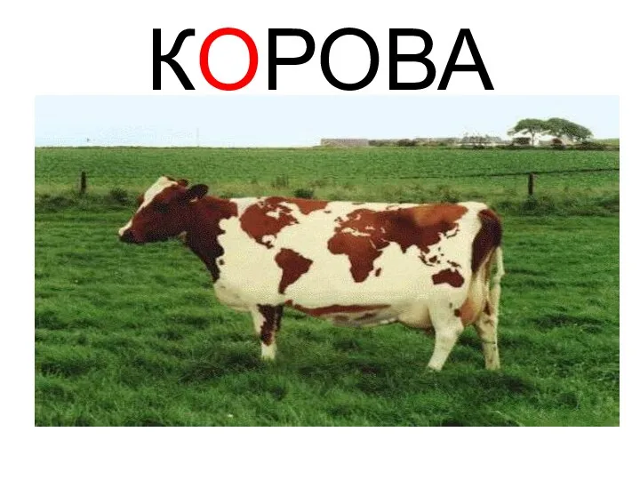 КОРОВА