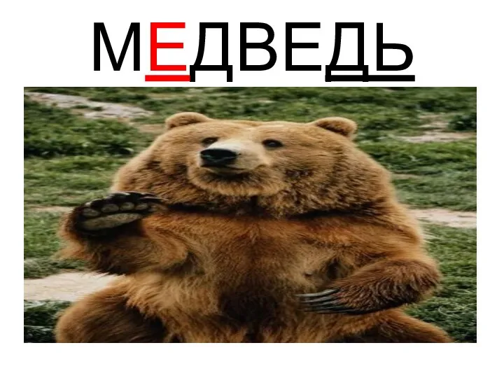 МЕДВЕДЬ