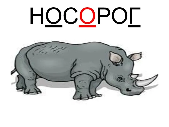 НОСОРОГ