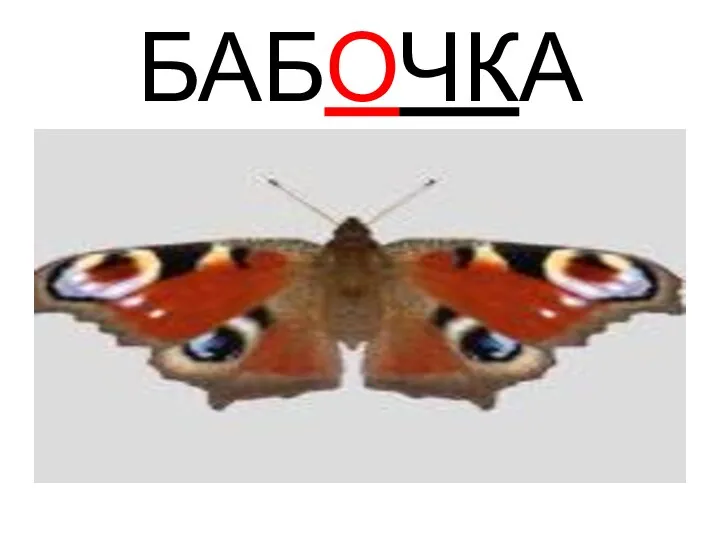 БАБОЧКА