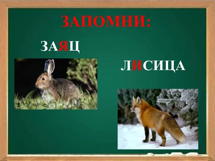 ЗАПОМНИ: ЗАПОМНИ: ЗАЯЦ ЛИСИЦА