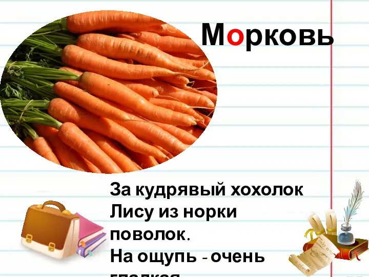 Морковь За кудрявый хохолок Лису из норки поволок. На ощупь -