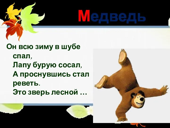 Медведь Он всю зиму в шубе спал, Лапу бурую сосал, А