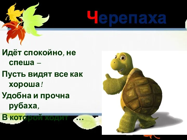 Черепаха Идёт спокойно, не спеша – Пусть видят все как хороша!